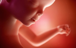 怀孕吃什么好？孕期膳食结构与女性️生理变化适配方案【女人刚怀孕吃什么好】