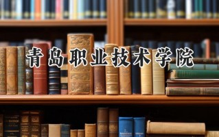 青岛职业技术学院2024在浙江录取分数线是多少？最低408分/最高470分