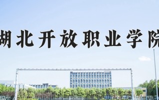2025年湖北开放职业学院在四川计划招生人数（附学费及专业录取分)