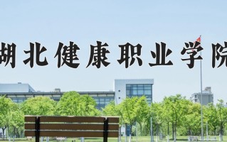 2025年湖北健康职业学院在河北计划招生人数（附学费及专业录取分)