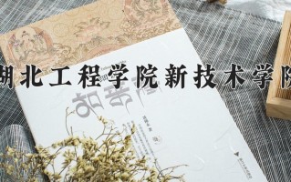 2024年湖北工程学院新技术学院录取分数线，新疆最低296分