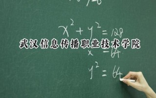 武汉信息传播职业技术学院2024在浙江录取分数线是多少？最低358分/最高411分