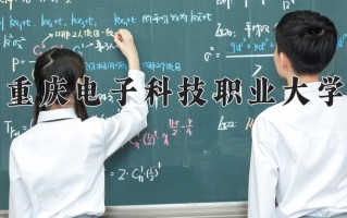 2024年重庆电子科技职业大学录取分数线，青海最低289分