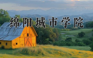 2024年绵阳城市学院录取分数线，新疆最低298分