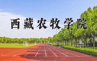 2024年西藏农牧学院录取分数线，河北最低476分