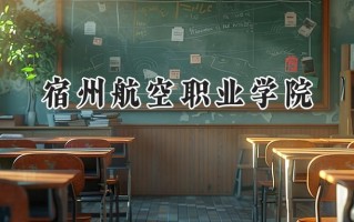 2024宿州航空职业学院录取分数线：山西最低233分