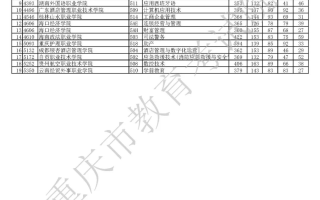 2023年重庆市普通高校招生信息表高职专科批-物理-二次征集（物理、历史类）