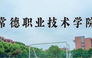 2025年常德职业技术学院在四川计划招生人数（附学费及专业录取分)