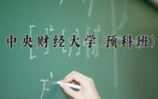 2025年中央财经大学(预科班)在重庆计划招生人数（附学费及专业录取分)