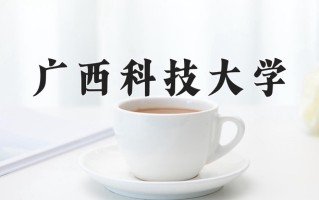 2025年广西科技大学在四川计划招生人数（附学费及专业录取分)