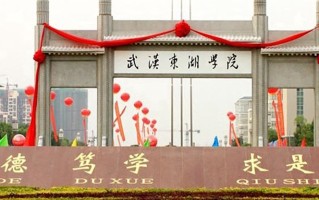2024年武汉东湖学院录取分数线，河北最低310分