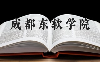 2025年成都东软学院在新疆计划招生人数（附学费及专业录取分)
