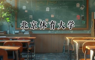 北京体育大学2024在青海录取分数线是多少？最低413分/最高540分