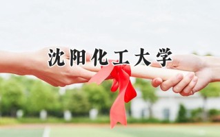 2024沈阳化工大学录取分数线：宁夏最低424分