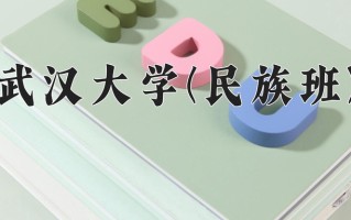 2025年武汉大学(民族班)在重庆计划招生人数（附学费及专业录取分)