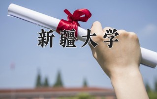 新疆大学2025年各学科排名一览表！附教育部评级比例