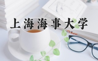 2025年上海海事大学在河南计划招生人数（附学费及专业录取分)