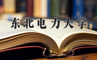 2025年东北电力大学在河南计划招生人数（附学费及专业录取分)