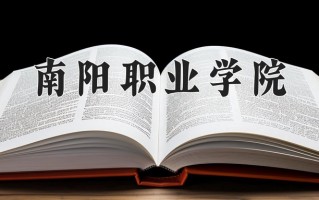 2025年南阳职业学院在河南计划招生人数（附学费及专业录取分)