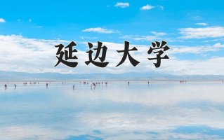 2025年延边大学在四川计划招生人数（附学费及专业录取分)