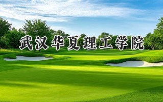 武汉华夏理工学院2024在山东录取分数线是多少？最低459分/最高482分