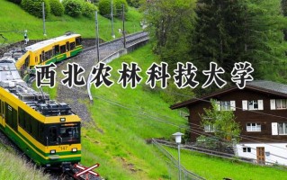 2024西北农林科技大学录取分数线：天津最低602分