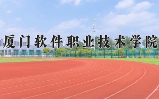 2025年厦门软件职业技术学院在河北计划招生人数（附学费及专业录取分)