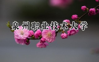 泉州职业技术大学2024在浙江录取分数线是多少？最低467分/最高541分