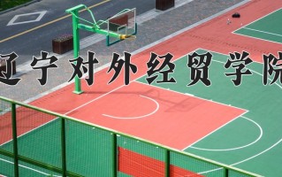 2025年辽宁对外经贸学院在四川计划招生人数（附学费及专业录取分)