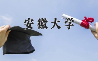 2025年安徽大学在新疆计划招生人数（附学费及专业录取分)