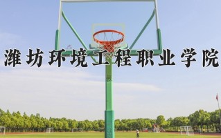 2025年潍坊环境工程职业学院在河南计划招生人数（附学费及专业录取分)