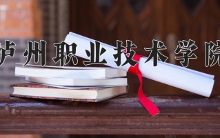 2025年泸州职业技术学院在河南计划招生人数（附学费及专业录取分)