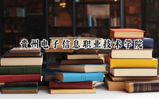 贵州电子信息职业技术学院2024在浙江录取分数线是多少？最低418分/最高451分