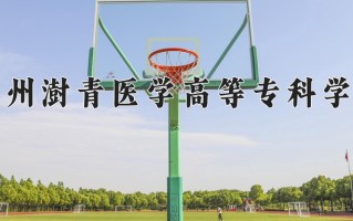 2025年郑州澍青医学高等专科学校在河南计划招生人数（附学费及专业录取分)