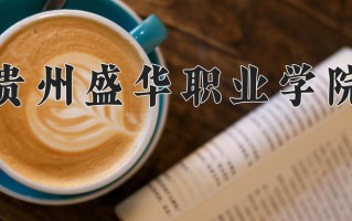 2024年贵州盛华职业学院录取分数线，青海最低234分