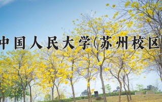 2025年中国人民大学(苏州校区)在四川计划招生人数（附学费及专业录取分)