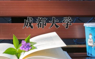2025年成都大学在河南计划招生人数（附学费及专业录取分)