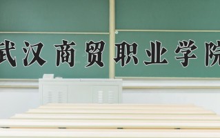 2025年武汉商贸职业学院在河南计划招生人数（附学费及专业录取分)