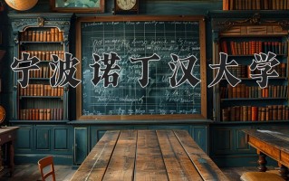 2025年宁波诺丁汉大学在新疆计划招生人数（附学费及专业录取分)