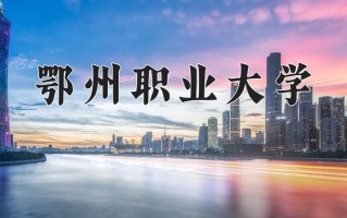 2025年鄂州职业大学在四川计划招生人数（附学费及专业录取分)