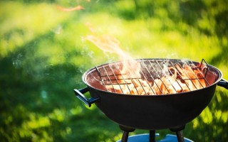 烤肉店用玉米粒当燃料！玉米专家表示不赞同也不支持！