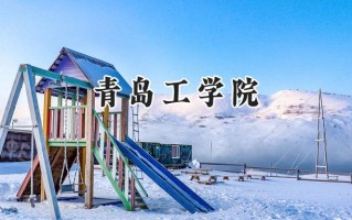 2024青岛工学院录取分数线：天津最低475分