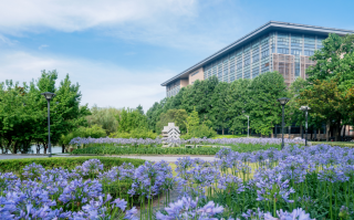 上海公办大学二本最低线（2024上海多少分可以上公办二本学校）
