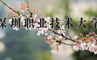 2025年深圳职业技术大学在新疆计划招生人数（附学费及专业录取分)