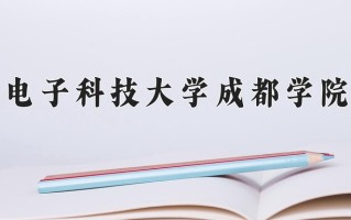 2025年电子科技大学成都学院在四川计划招生人数（附学费及专业录取分)