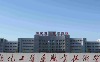 2024年河北化工医药职业技术学院录取分数线，河北最低380分