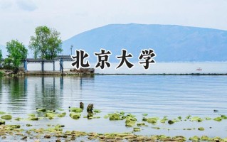 北京大学2024在上海录取分数线是多少？最低618以上分/最高618以上分