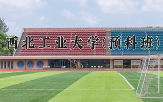 2025年西北工业大学(预科班)在重庆计划招生人数（附学费及专业录取分)