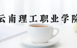 2025年云南理工职业学院在四川计划招生人数（附学费及专业录取分)
