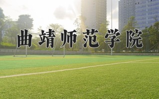 2025年曲靖师范学院在新疆计划招生人数（附学费及专业录取分)